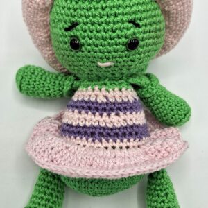 Schildpad met pet